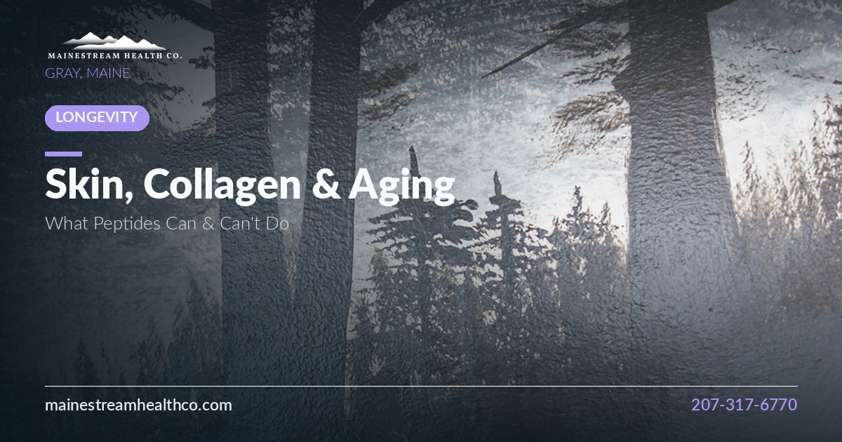 Misty evergreen forest artwork in muted blue-gray tones